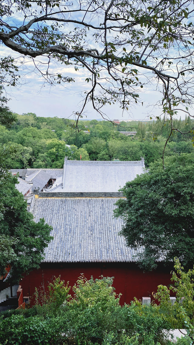 禪之行｜當陽玉泉寺。