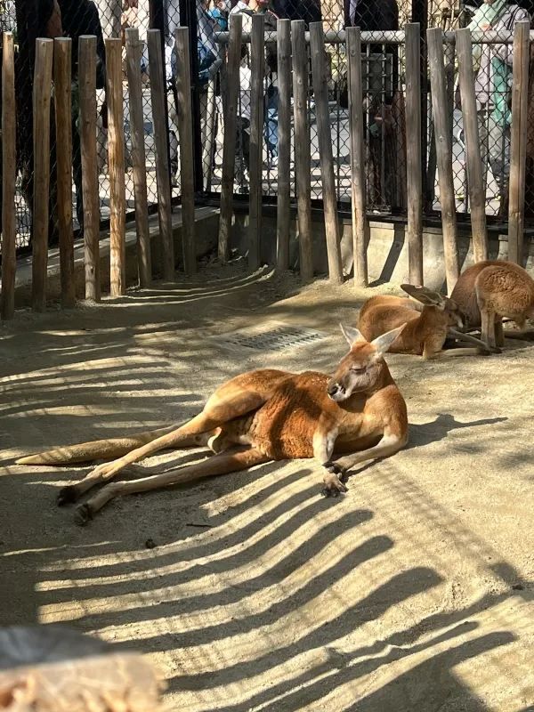Nagoya Higashiyama Zoo and Botanical Gardens