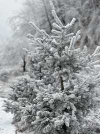 寶雞鳳縣嶺南公園|乘坐秦嶺小火車來看雪。