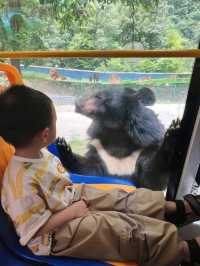洛陽 ｜ 竹海野生動物園旅遊攻略。