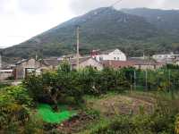 安期峰。
