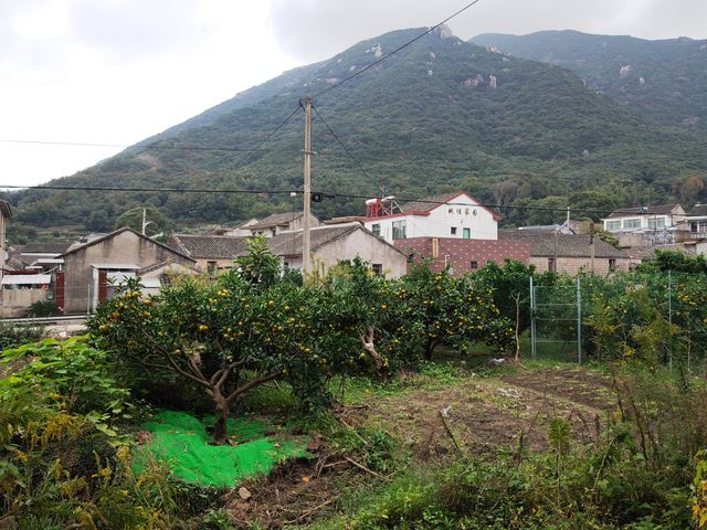 安期峰。