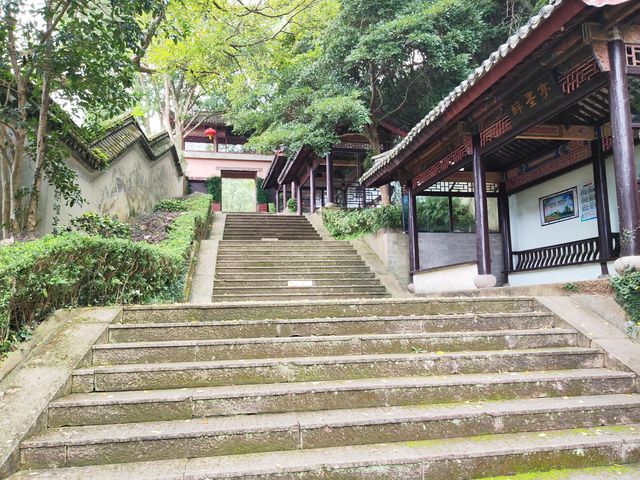 安期峰。