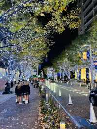 Roppongi Christmas 2022 has begun