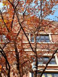 瀋陽紅梅文創園。