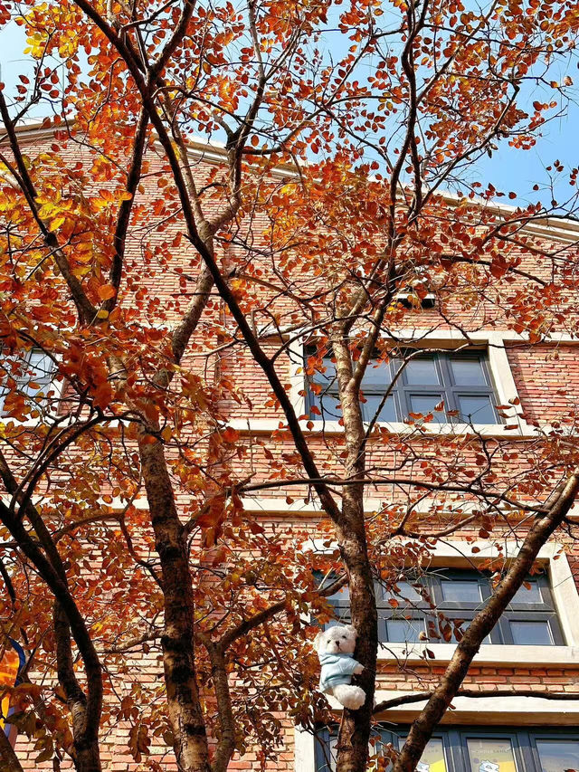 瀋陽紅梅文創園。