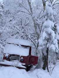 雪嶺絕景 | 誤入冬日童話世界。