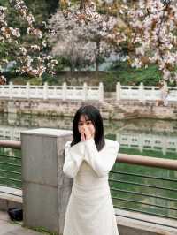 成都的春天來啦快來東湖公園。