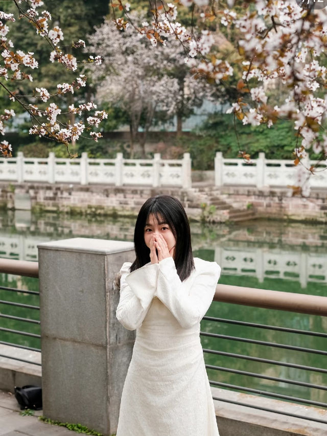 成都的春天來啦快來東湖公園。