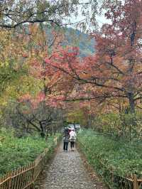 11月25日 天平山實況， 暫不前往。