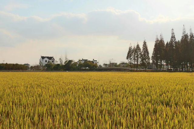 生活處處有驚喜~~廊下郊野公園。