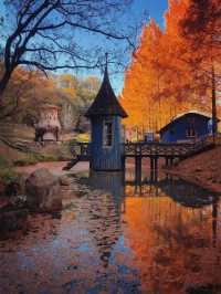 Discover a Fairytale World Near Tokyo This Autumn