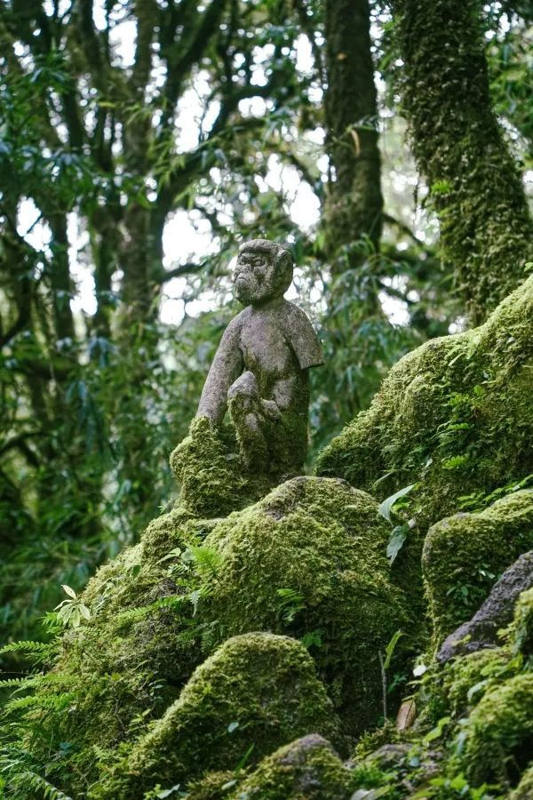 昆明周邊｜戛灑哀牢山兩天一夜吃住行攻略