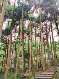 2天玩遍溫州 不住後悔系列