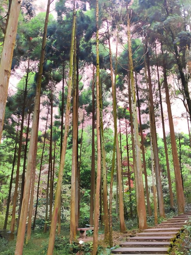 2天玩遍溫州 不住後悔系列