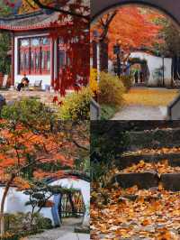 狼山北麓園秋日旅遊攻略：邂逅南通的詩意秋色