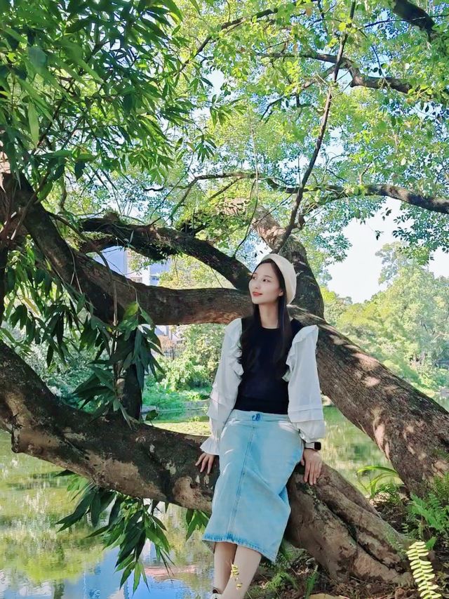 好像遇到了綠光森林！不敢相信這是荔枝公園
