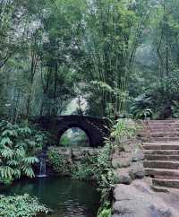 全網最易懂的中岩寺爬山攻略