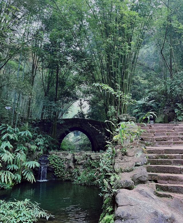 全網最易懂的中岩寺爬山攻略