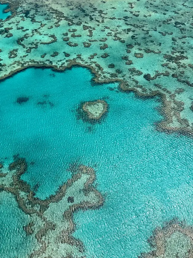 8-Day Australia Tour: New Year’s Trip