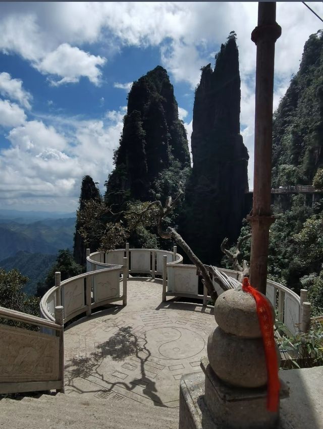 莽山森林公園：自然與寧靜交織的綠色天堂