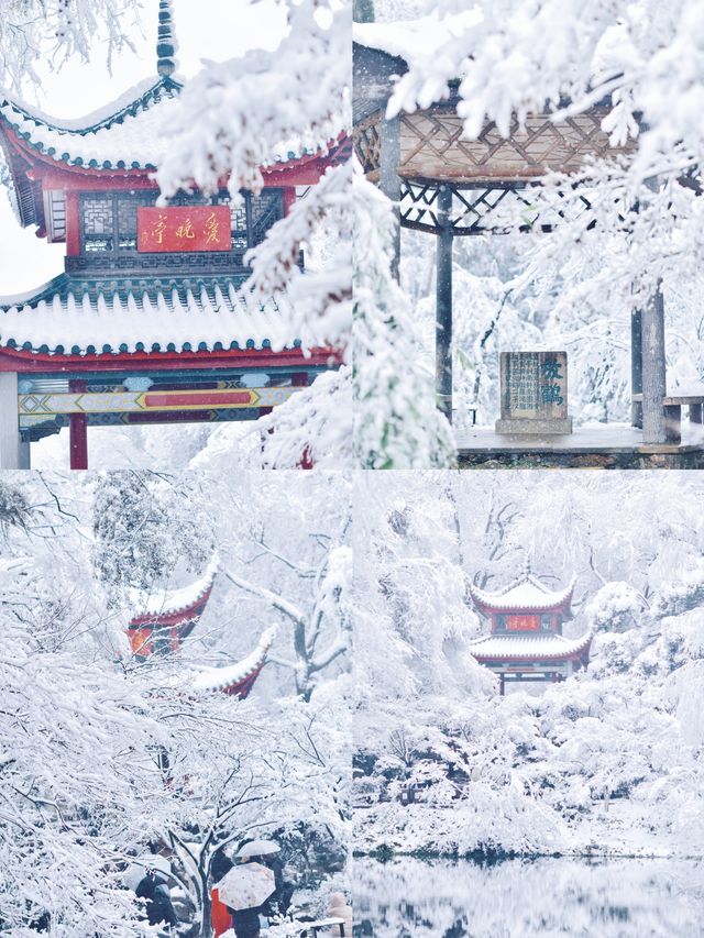零差評的四座城市，暖城VS雪景。