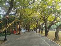 中山大學南校區