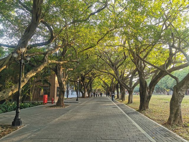 中山大學南校區