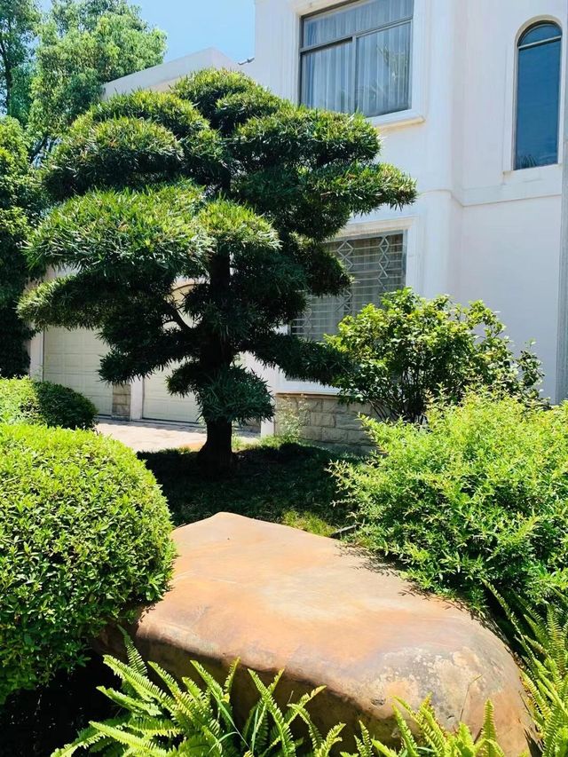 邂逅盤龍山莊，靜享悠然時光