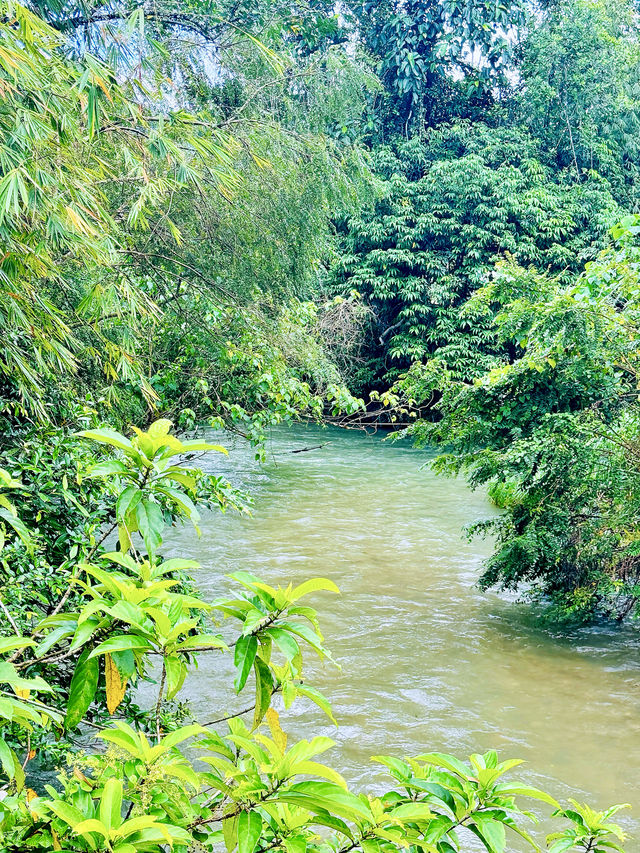 Batu Bertenggek半日遠足·吉隆坡週末