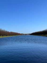 Hampton Court Palace New Year Ticket Offer: 50% Off!