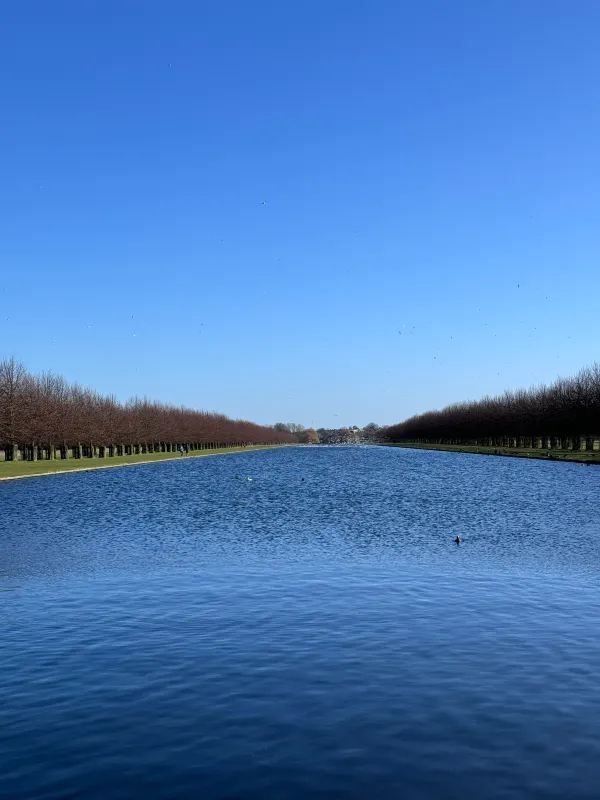 Hampton Court Palace New Year Ticket Offer: 50% Off!