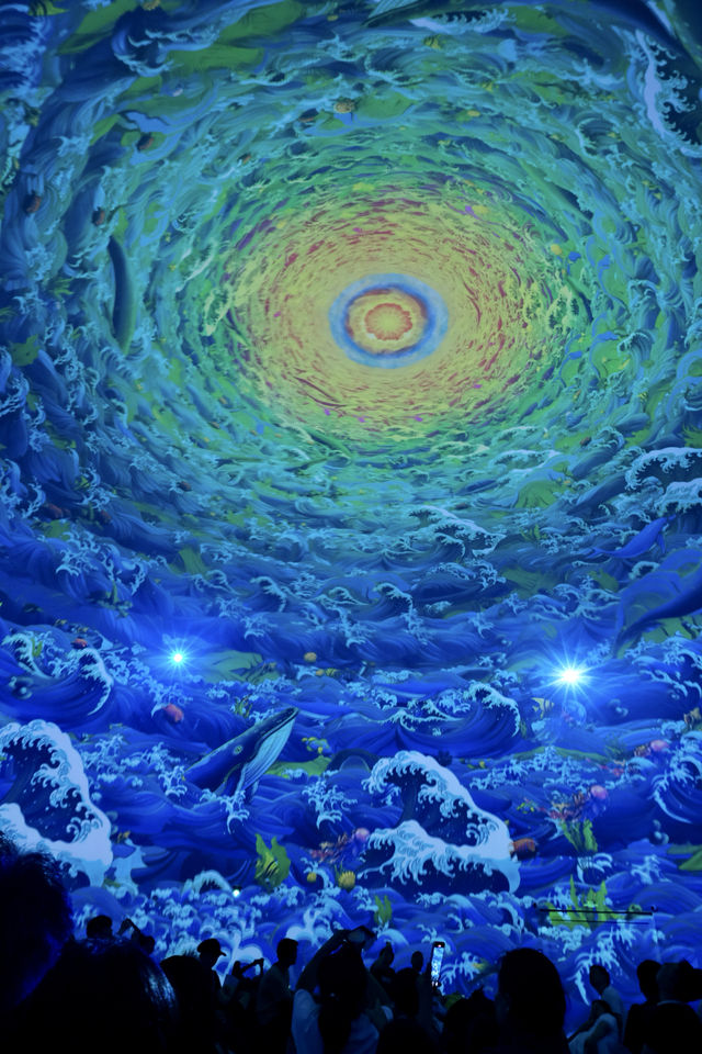 過年來武漢極地海洋公園🪼就這麼玩！