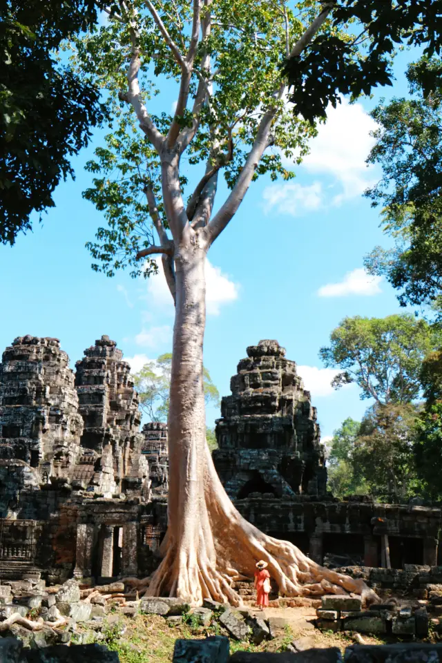 9 Practical Tips for Traveling in Cambodia