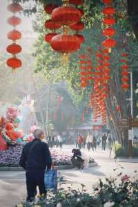 廣州文化公園 | 趁著好天氣趕緊去看花展吧