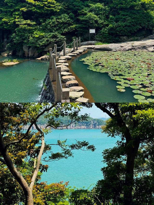 不做攻略來桃花島，這篇就夠了