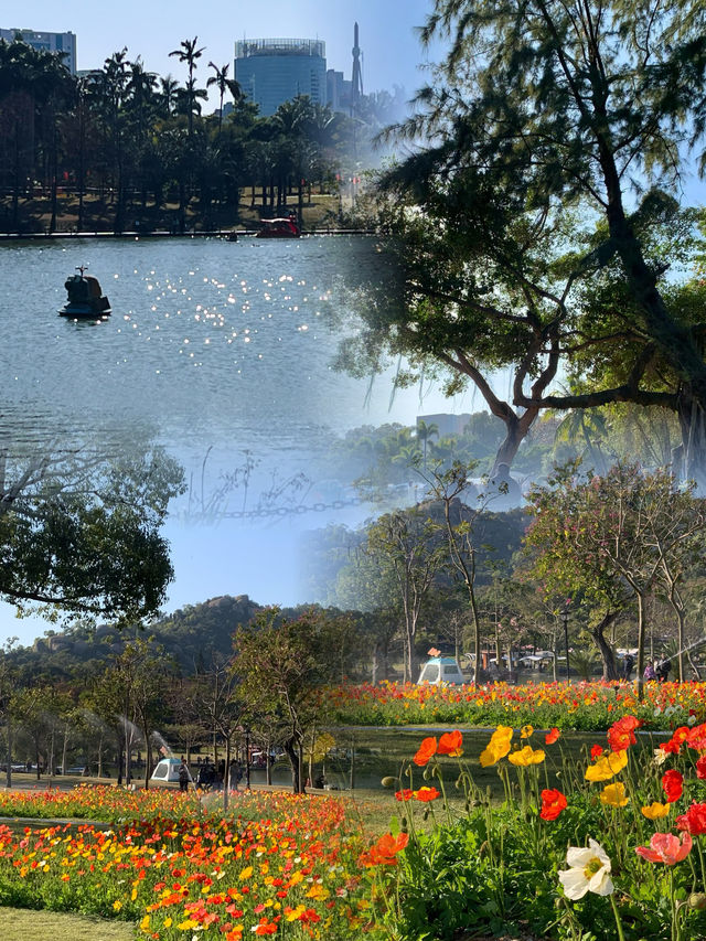 珠海限定！藏在海濱公園的冬日童話