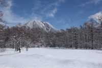 東京周邊 | 世界遺產的日光冬天不輸北海道