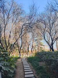 豐慶公園春已至，美好終將來臨！