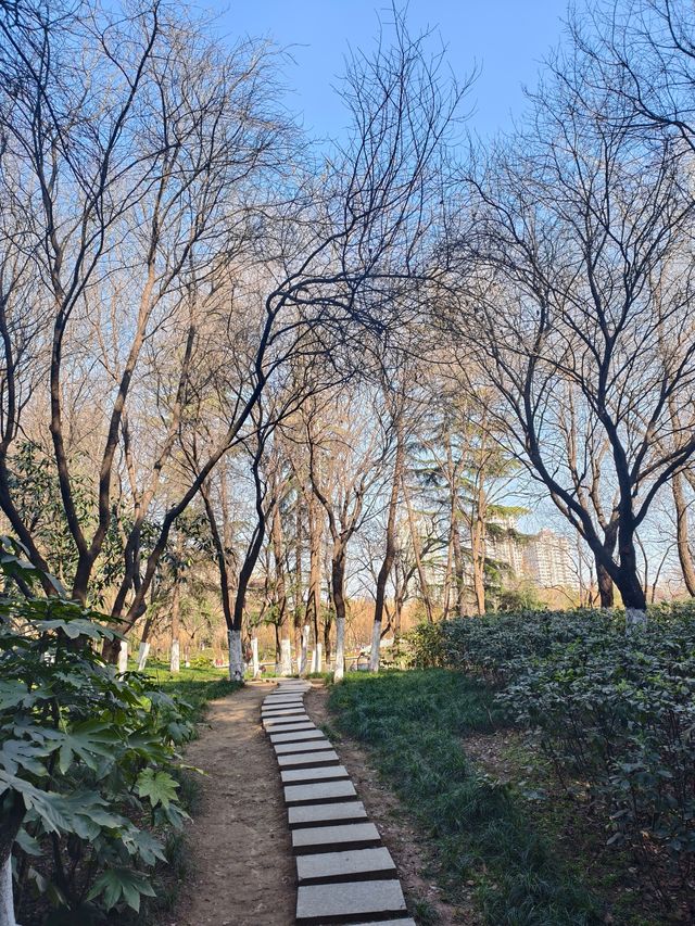 豐慶公園春已至，美好終將來臨！