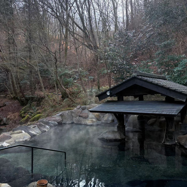 🌸赴一場福岡黑川溫泉的浪漫之約，邂逅夢龍膽的迷人魅力