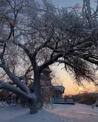 邂逅哈爾濱的冰雪童話——伏爾加莊園