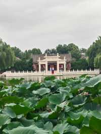 北京大觀園｜遊園驚夢，夢紅樓
