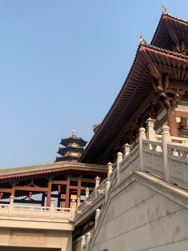 河北廊坊~