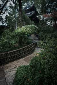 【上海青浦曲水園】雨中江南,絕美打卡地!