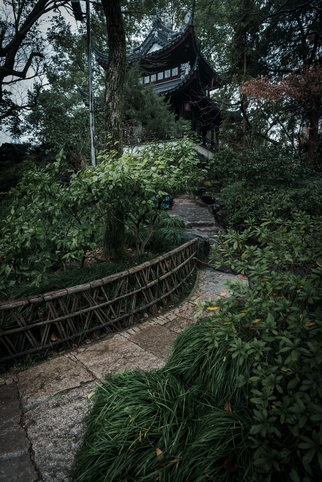 【上海青浦曲水園】雨中江南,絕美打卡地! 【上海青浦曲水園】雨中江南,絕美打卡地!