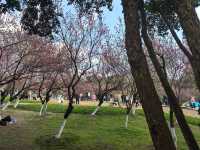 天氣好去植物園walk一下～