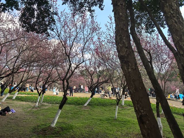 天氣好去植物園walk一下～