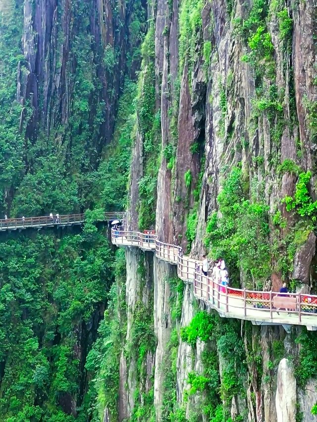 "福城郴州"——南嶺山脈的錦繡之地
