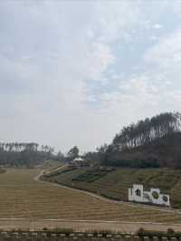 《麻城清遠山莊金福酒店旅遊體驗》